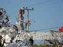 Carnival-113