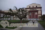 ukraine-women-12-08-200