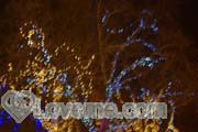 ukraine-women-12-08-278