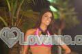 Miss-Colombia-2