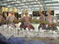 thailand-women-92