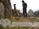 Machu-Picchu-022